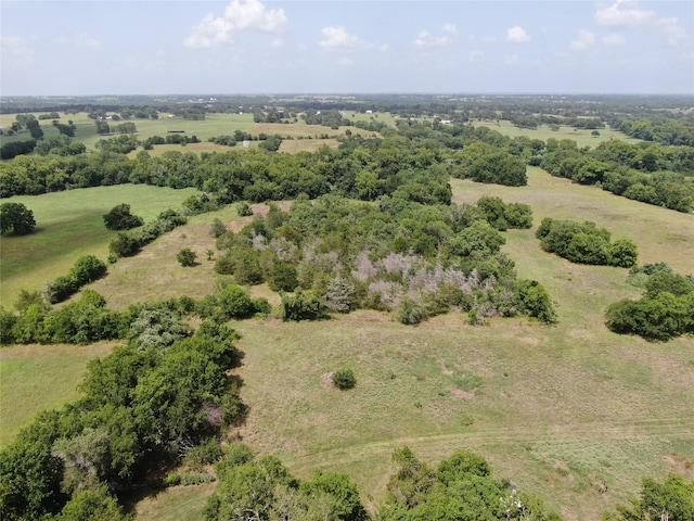 1399 Star Hill Rd, New Ulm, TX 78950 - photo 28