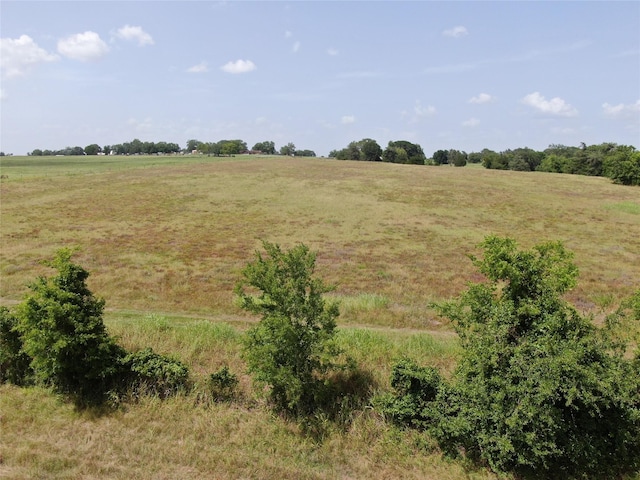1399 Star Hill Rd, New Ulm, TX 78950 - photo 29