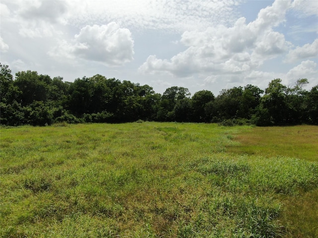 1399 Star Hill Rd, New Ulm, TX 78950 - photo 30