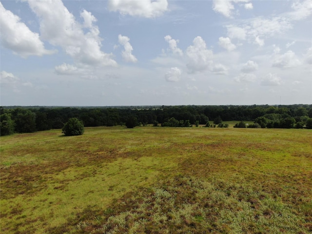 1399 Star Hill Rd, New Ulm, TX 78950 - photo 33