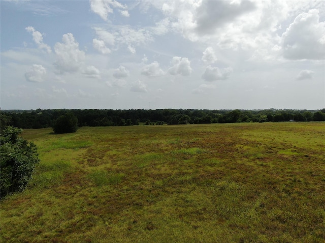 1399 Star Hill Rd, New Ulm, TX 78950 - photo 34