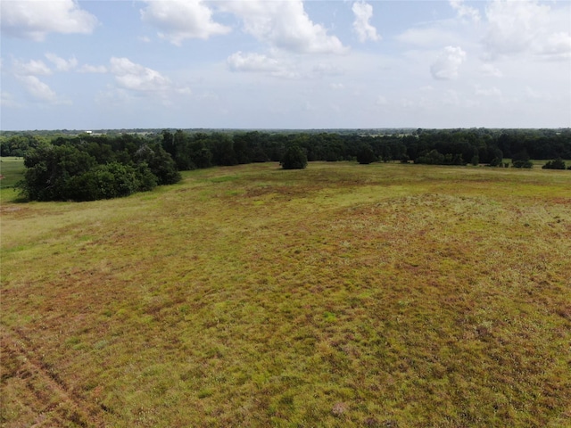 1399 Star Hill Rd, New Ulm, TX 78950 - photo 35