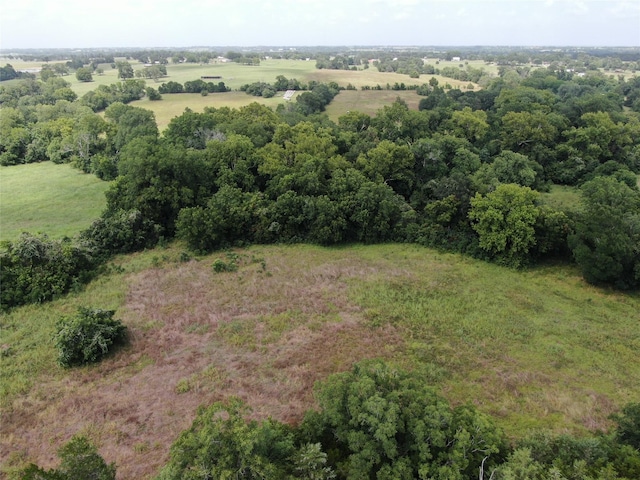 1399 Star Hill Rd, New Ulm, TX 78950 - photo 11
