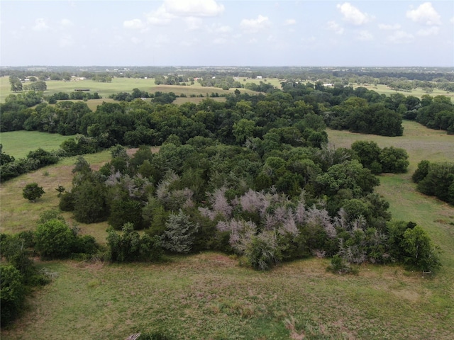 1399 Star Hill Rd, New Ulm, TX 78950 - photo 12