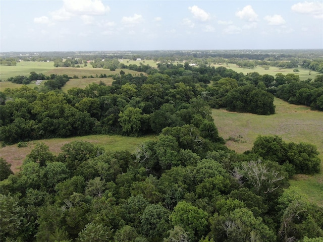 1399 Star Hill Rd, New Ulm, TX 78950 - photo 13