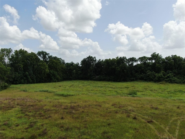 1399 Star Hill Rd, New Ulm, TX 78950 - photo 17