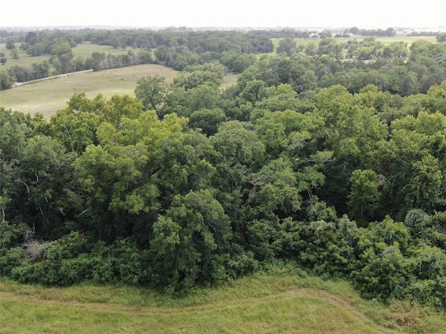 1399 Star Hill Rd, New Ulm, TX 78950 - photo 19