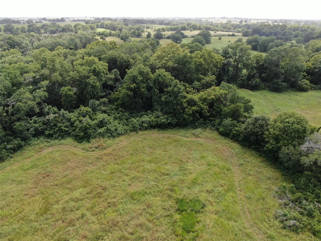 1399 Star Hill Rd, New Ulm, TX 78950 - photo 20