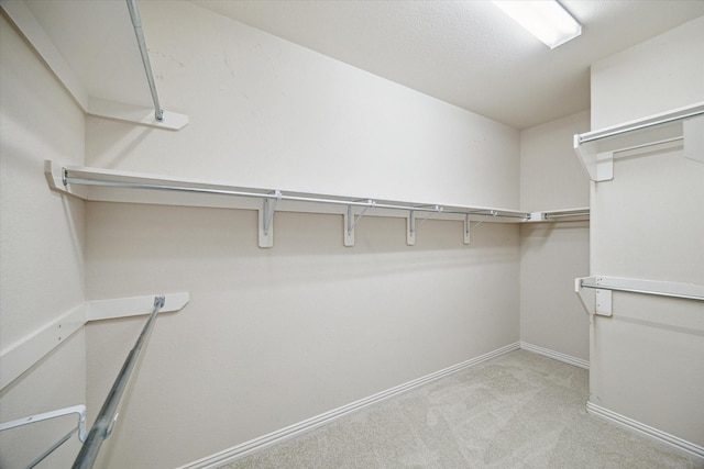 3030 Rabbit Brush Ln, Manvel, TX 77578 - walk in closet with light colored carpet