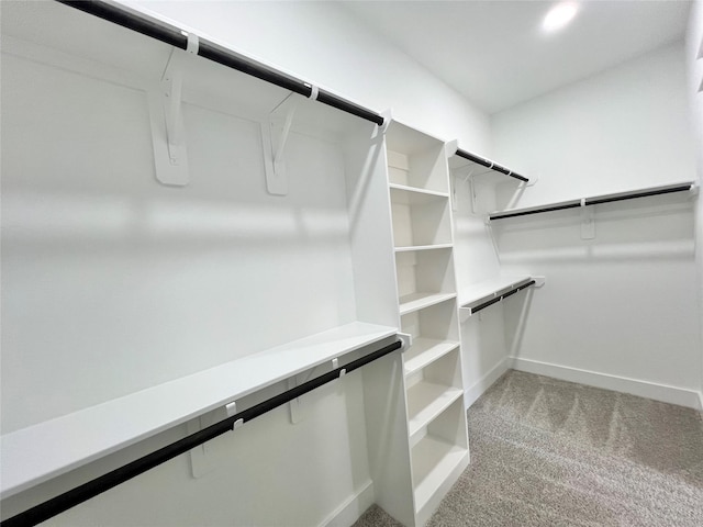 11841 12th St, Santa Fe, TX 77510 - walk in closet featuring light carpet
