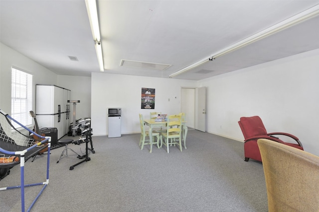 12911 Bristol Berry Dr, Cypress, TX 77429 - workout room featuring attic access and carpet floors