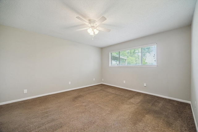 2717 Parrott Ave, Rosenberg, TX 77471 - photo 11