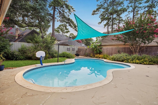 6019 Oak Creek Ln, Spring, TX 77379 - view of pool with a fenced backyard and a patio