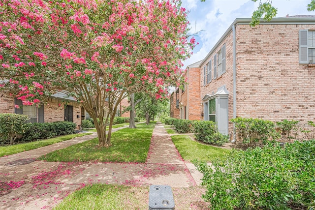 7763 Leonora St, Houston, TX 77061 - photo 4