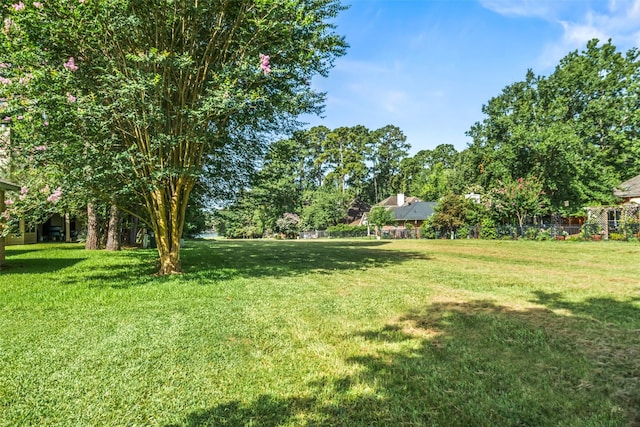 3019 Ramblewood Rd, Montgomery, TX 77356 - view of green lawn