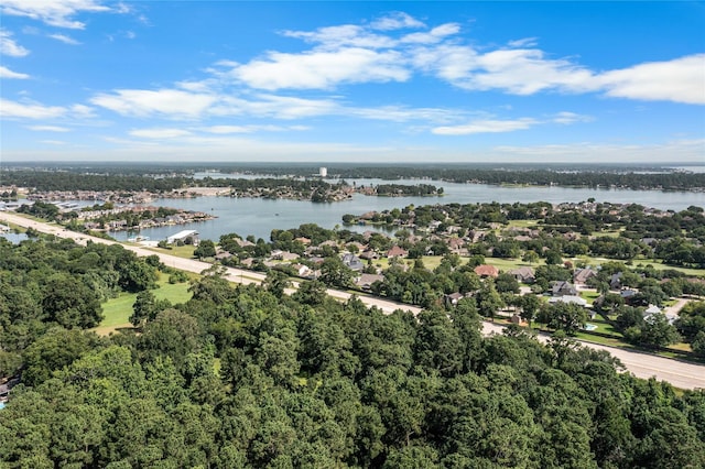 16887 Balmoral St, Montgomery, TX 77316 - aerial view of a nearby body of water