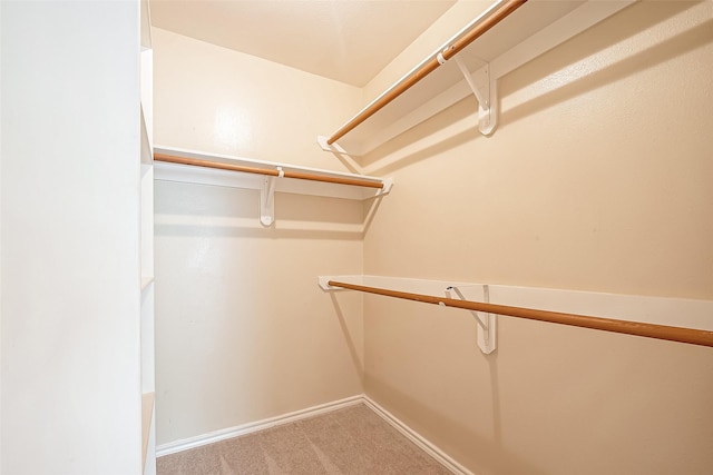 14 Scenic Brook Ct, The Woodlands, TX 77382 - spacious closet featuring carpet