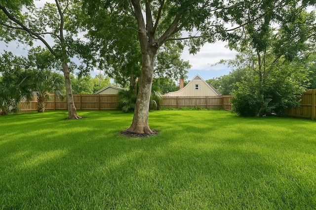 7810 Nairn St, Houston, TX 77074 - view of fenced backyard