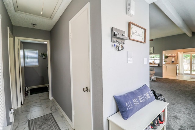 4110 Summit Valley Dr, Houston, TX 77082 - photo 26