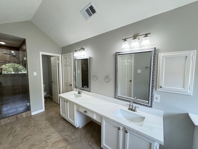 4607 Blue Rose Cir, Missouri City, TX 77459 - bathroom with double vanity, a shower stall, and vaulted ceiling