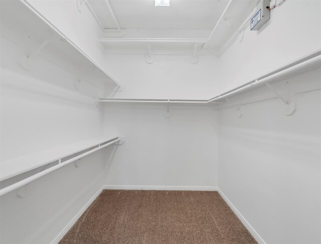 2303 Jackson St Unit A, Houston, TX 77004 - photo 16