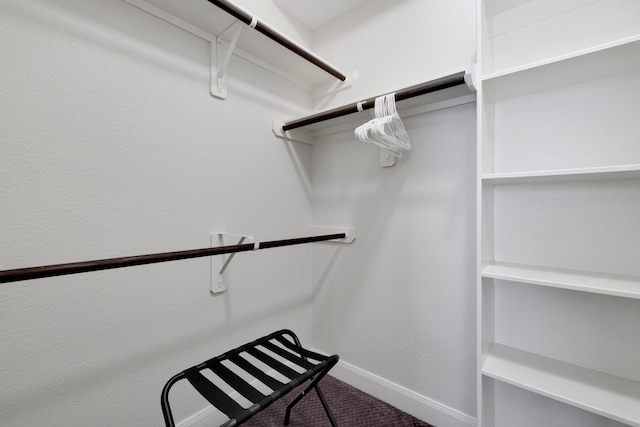 18774 Monetta Dr, New Caney, TX 77357 - view of spacious closet