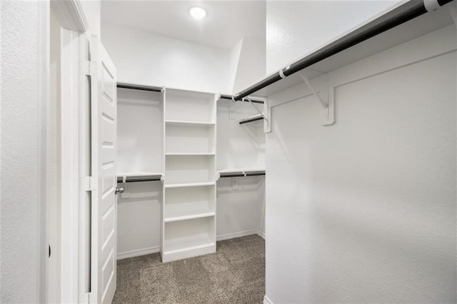 828 Laguna Green Ln, Katy, TX 77493 - walk in closet with carpet flooring