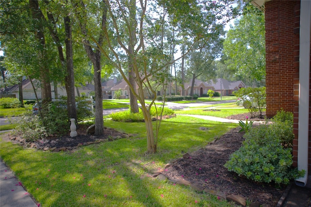 30215 Stoney Plain Dr, Spring, TX 77386 - photo 2