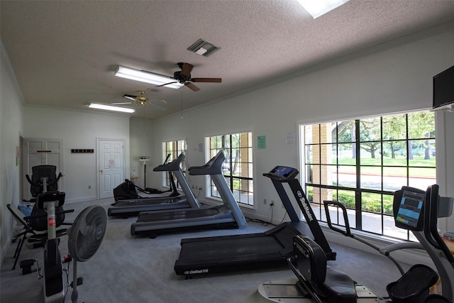 3310 Country Meadows Ct, Pearland, TX 77584 - exercise room featuring ornamental molding, plenty of natural light, a textured ceiling, carpet floors, and a ceiling fan