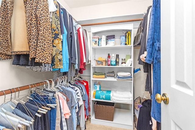 4818 Lost Lake Ln, Spring, TX 77388 - spacious closet with carpet floors