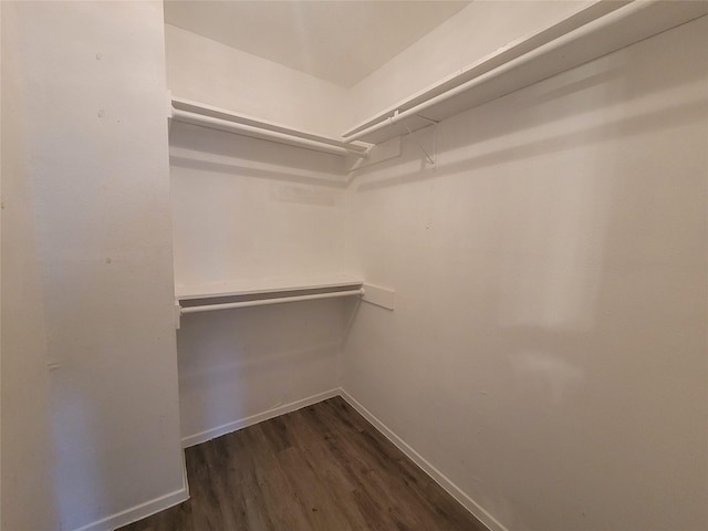 13930 New Village Ln, Sugar Land, TX 77498 - spacious closet featuring dark wood-style floors