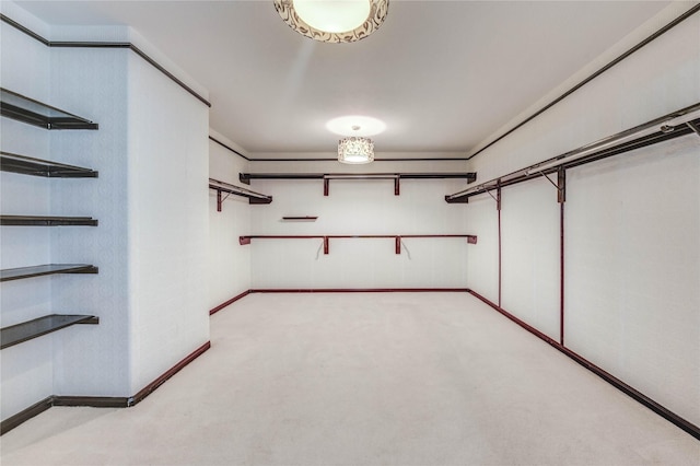 4202 Maurice Way, Stafford, TX 77477 - walk in closet with light carpet