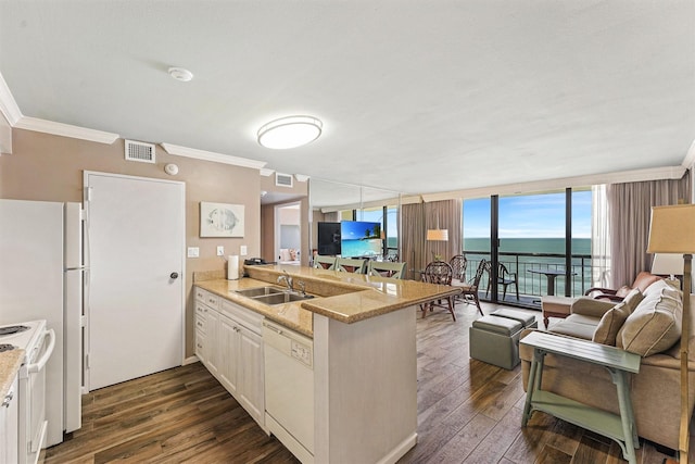 5220 Seawall Blvd Unit 1133C, Galveston, TX 77551 - kitchen with white appliances, a peninsula, dark wood-style floors, open floor plan, and crown molding