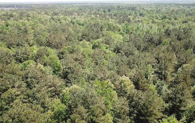 TBD County Road 3230, Clarksville, TX 75426 - photo 20