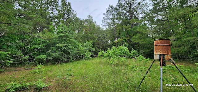 TBD County Road 3230, Clarksville, TX 75426 - photo 4