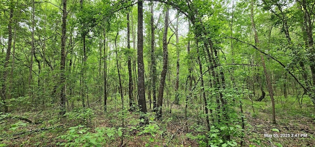 TBD County Road 3230, Clarksville, TX 75426 - photo 8