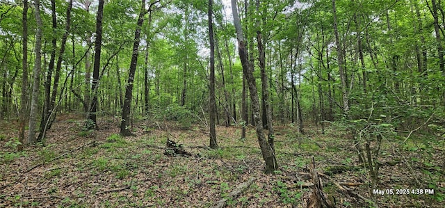 TBD County Road 3230, Clarksville, TX 75426 - photo 22