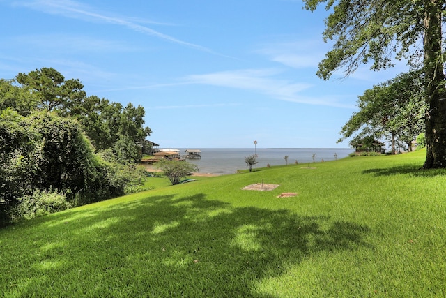 221 Kings Way, Coldspring, TX 77331 - view of green lawn featuring a water view