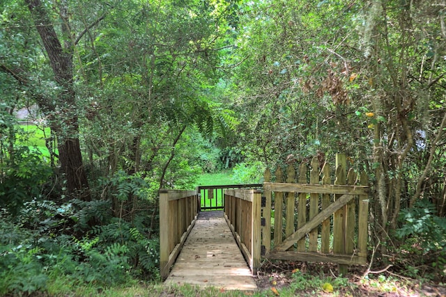 221 Kings Way, Coldspring, TX 77331 - surrounding community with a forest view