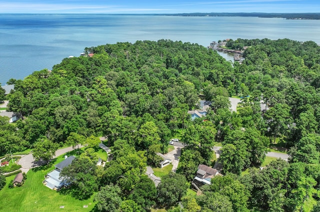 221 Kings Way, Coldspring, TX 77331 - bird's eye view of a nearby body of water and a heavily wooded area