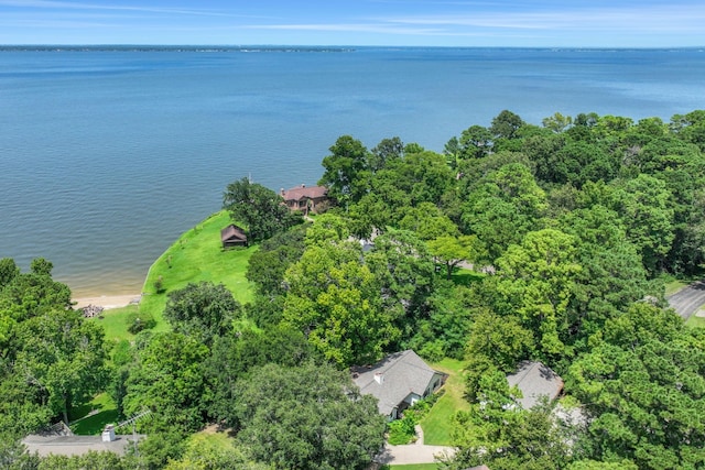 221 Kings Way, Coldspring, TX 77331 - aerial view of a large body of water