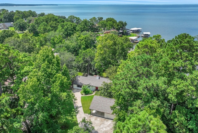 221 Kings Way, Coldspring, TX 77331 - drone / aerial view of a nearby body of water
