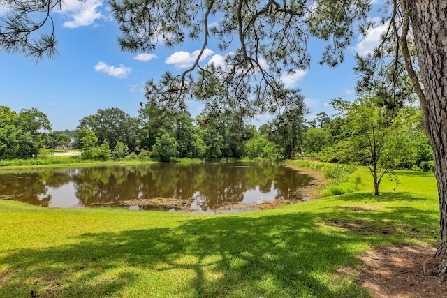 11980 La Salle River Rd, Conroe, TX 77304 - photo 5