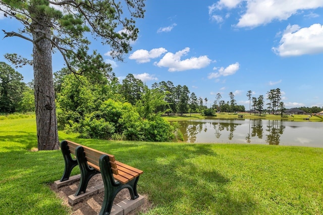 11980 La Salle River Rd, Conroe, TX 77304 - photo 2