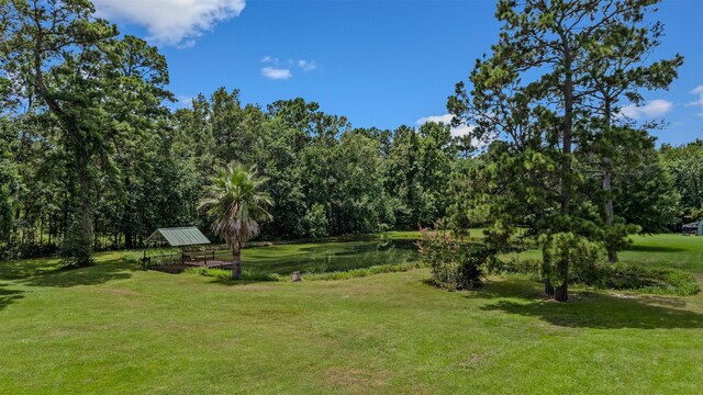 11692 Clark Ln, Conroe, TX 77385 - photo 23