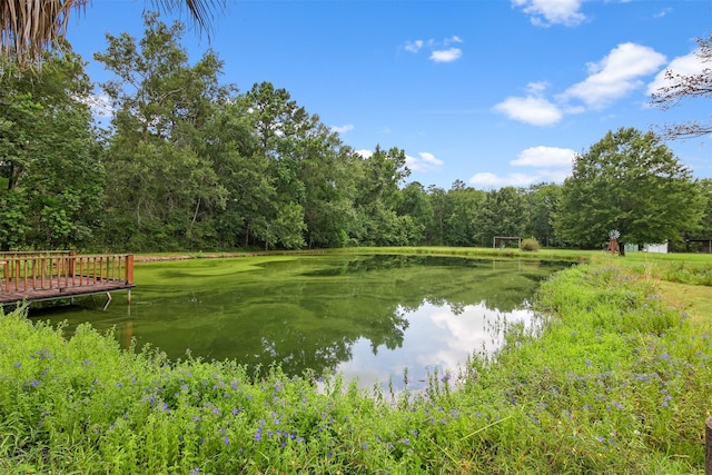 11692 Clark Ln, Conroe, TX 77385 - photo 25