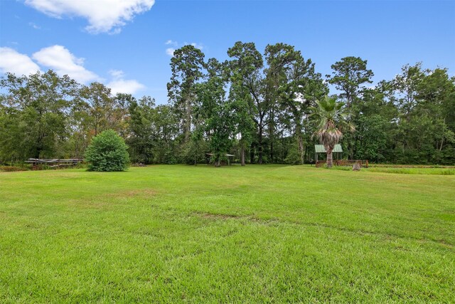 11692 Clark Ln, Conroe, TX 77385 - photo 26