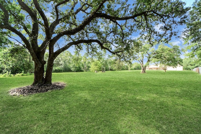 29926 Fm 1301st Rd, West Columbia, TX 77486 - photo 14