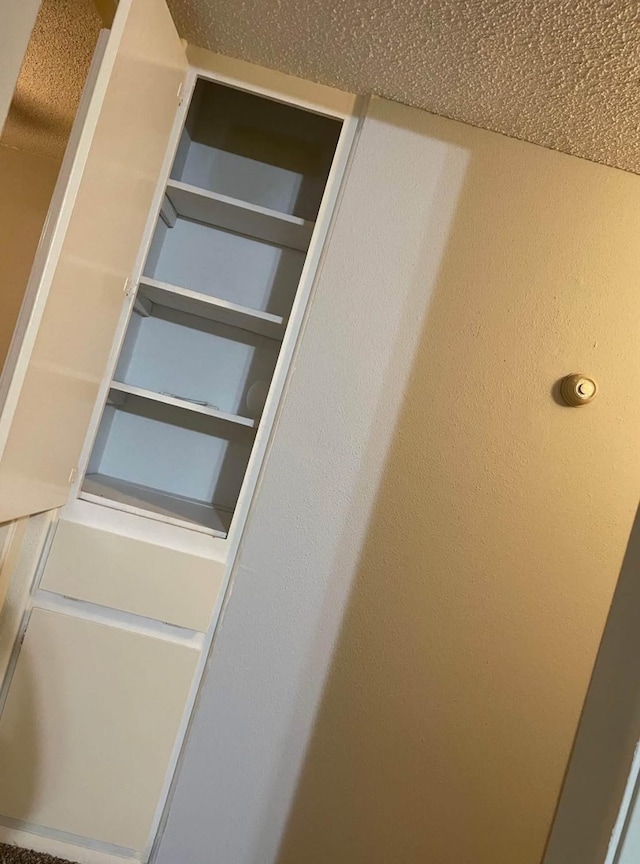 5664 Birchmont Dr Unit 4, Houston, TX 77091 - view of closet