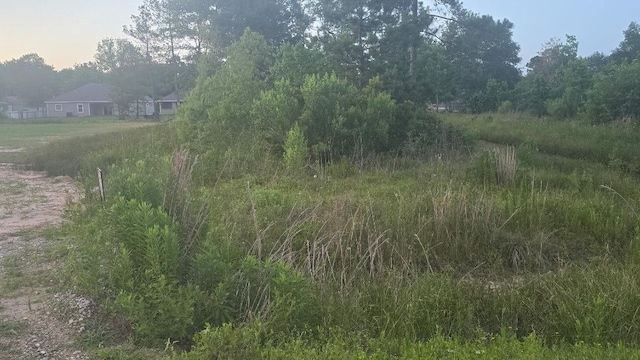 853 County Road 3415, Cleveland, TX 77327 - photo 2